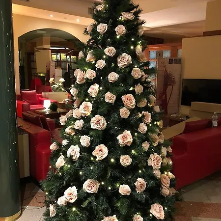 酒店 瓦布仁达酒店