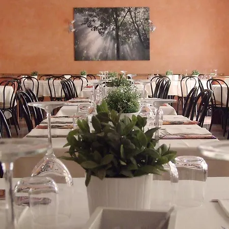 瓦布仁达酒店 酒店 3*